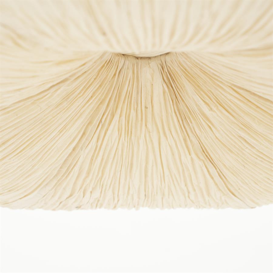 Pendant lamp Lokta 2 - Afbeelding 2